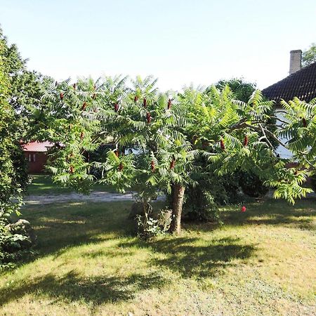 Bungalow In Lubin At 300 M From The Lake المظهر الخارجي الصورة
