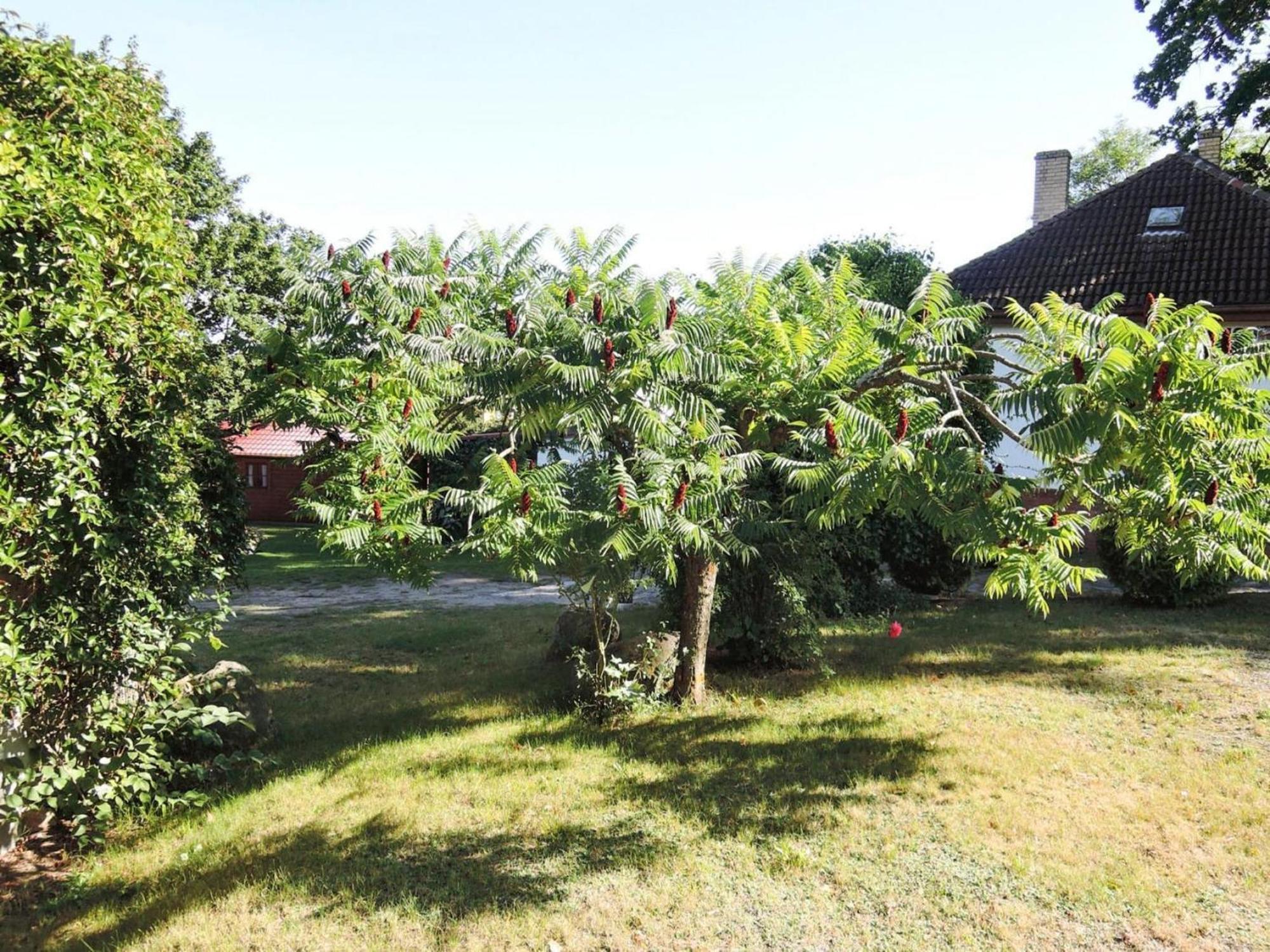 Bungalow In Lubin At 300 M From The Lake المظهر الخارجي الصورة