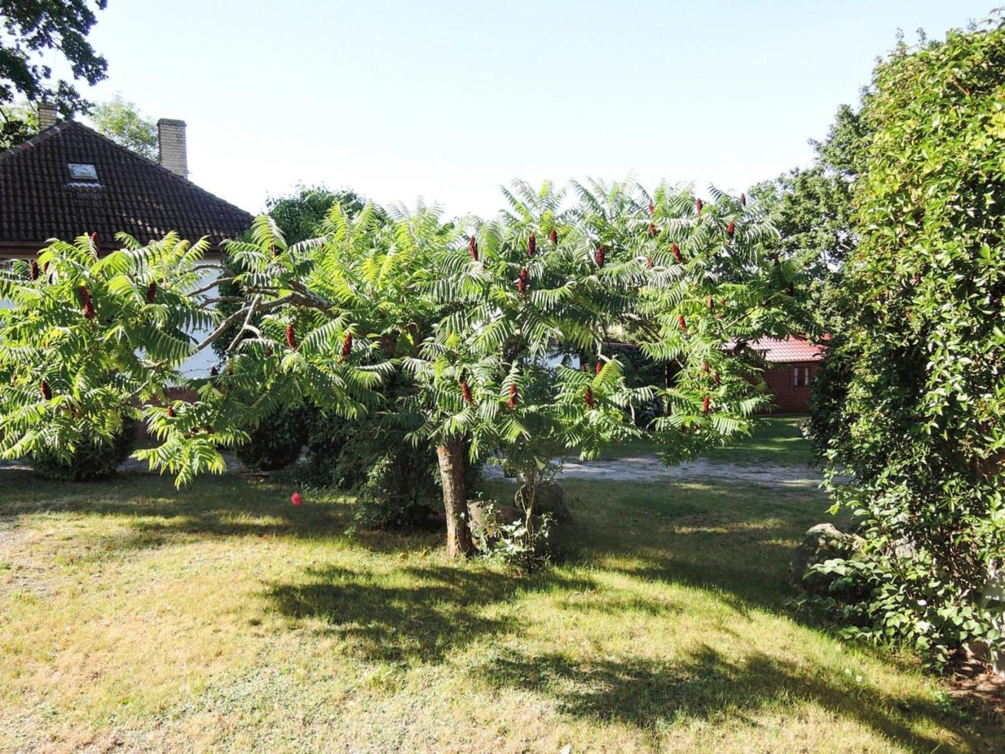 Bungalow In Lubin At 300 M From The Lake المظهر الخارجي الصورة